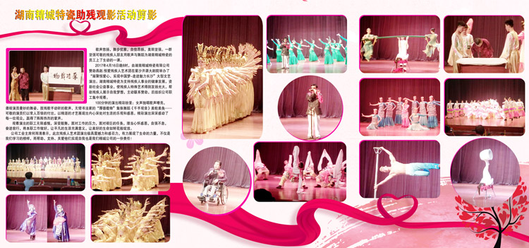 湖南bbin宝盈赞助燕赵·恒爱残疾人艺术团圆满演出
